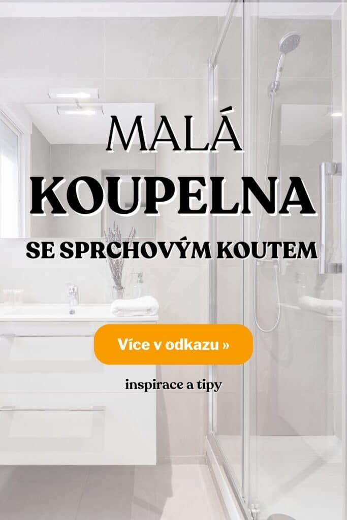 Mala koupelna se sprchovym koutem inspirace fotografie